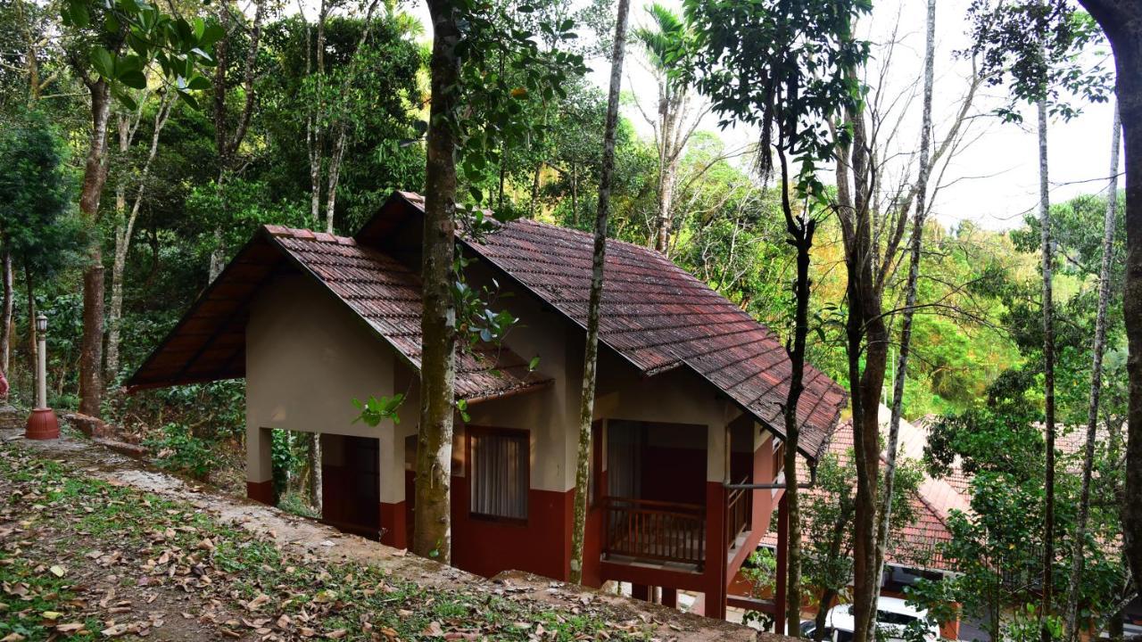 Terrace Resorts วายานาด ภายนอก รูปภาพ